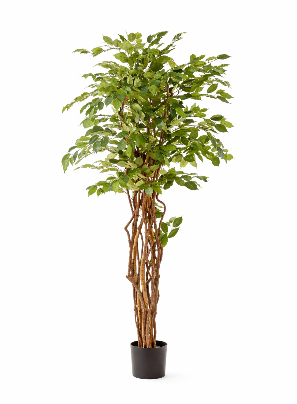 liana kunstpflanzen Realistischer künstlicher Ficus (170 cm) – Große dekorative Kunstpflanze