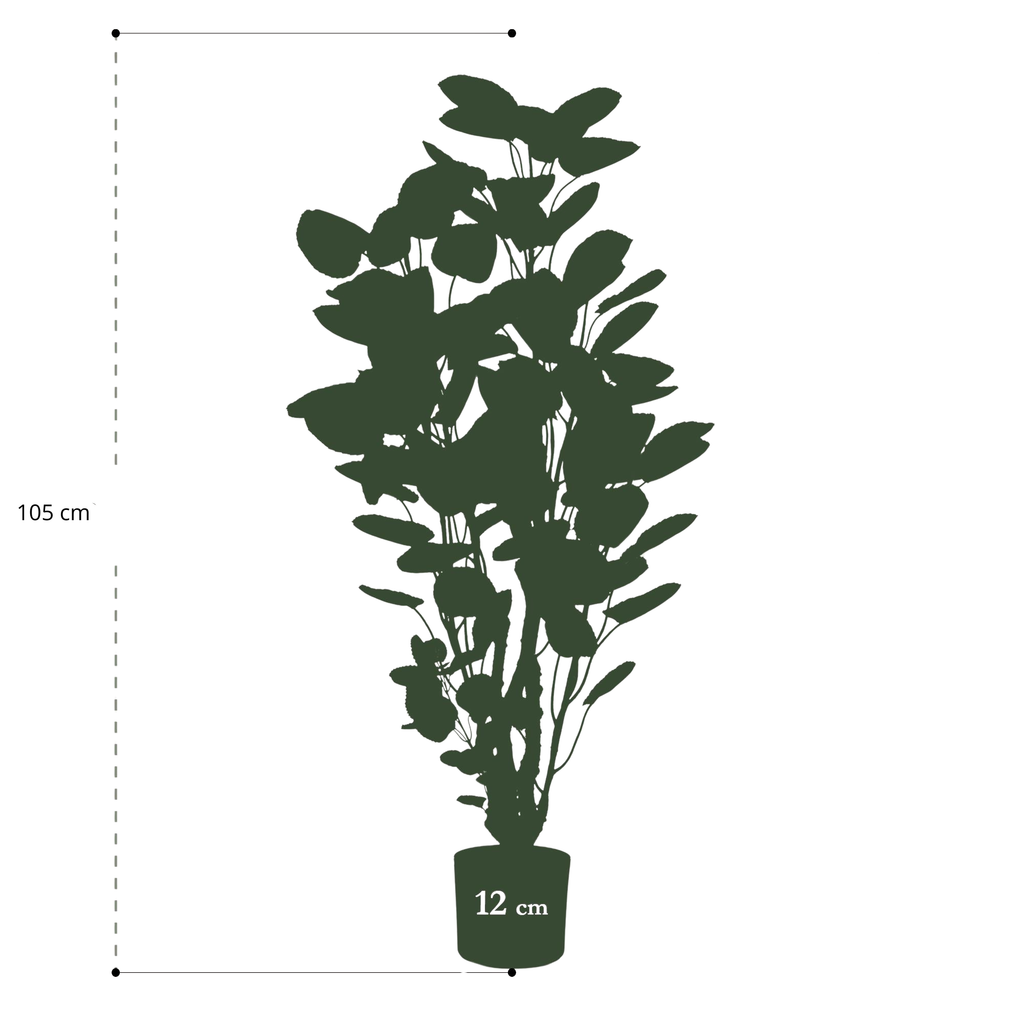 Polyscias (Aralia) artificielle haut de gamme – Plante décorative ultra-réaliste de 105 cm à 160 cm