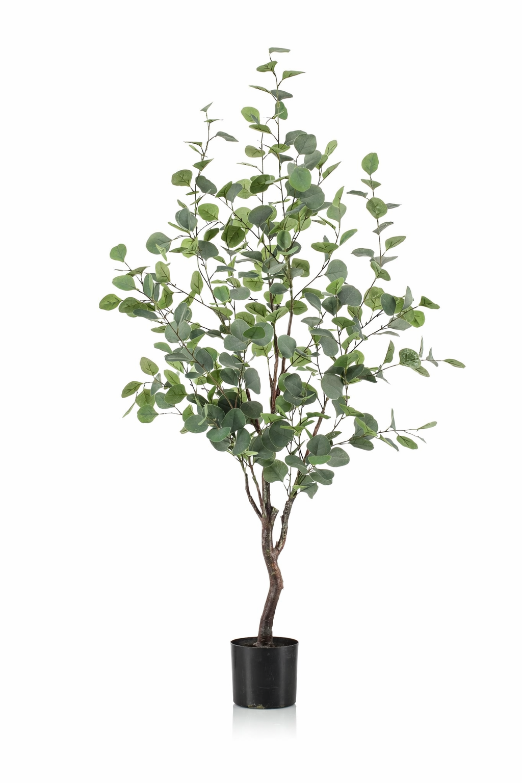 Eucalyptus artificiel – Gommier bleu décoratif 120 cm | 140 cm | 180 cm