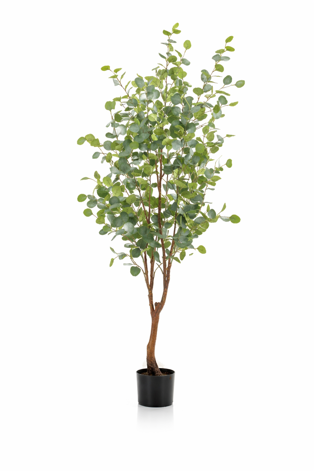 Eucalyptus artificiel – Gommier bleu décoratif 120 cm | 140 cm | 180 cm
