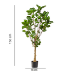 Polyscias (Aralia) artificielle haut de gamme – Plante décorative ultra-réaliste de 105 cm à 160 cm