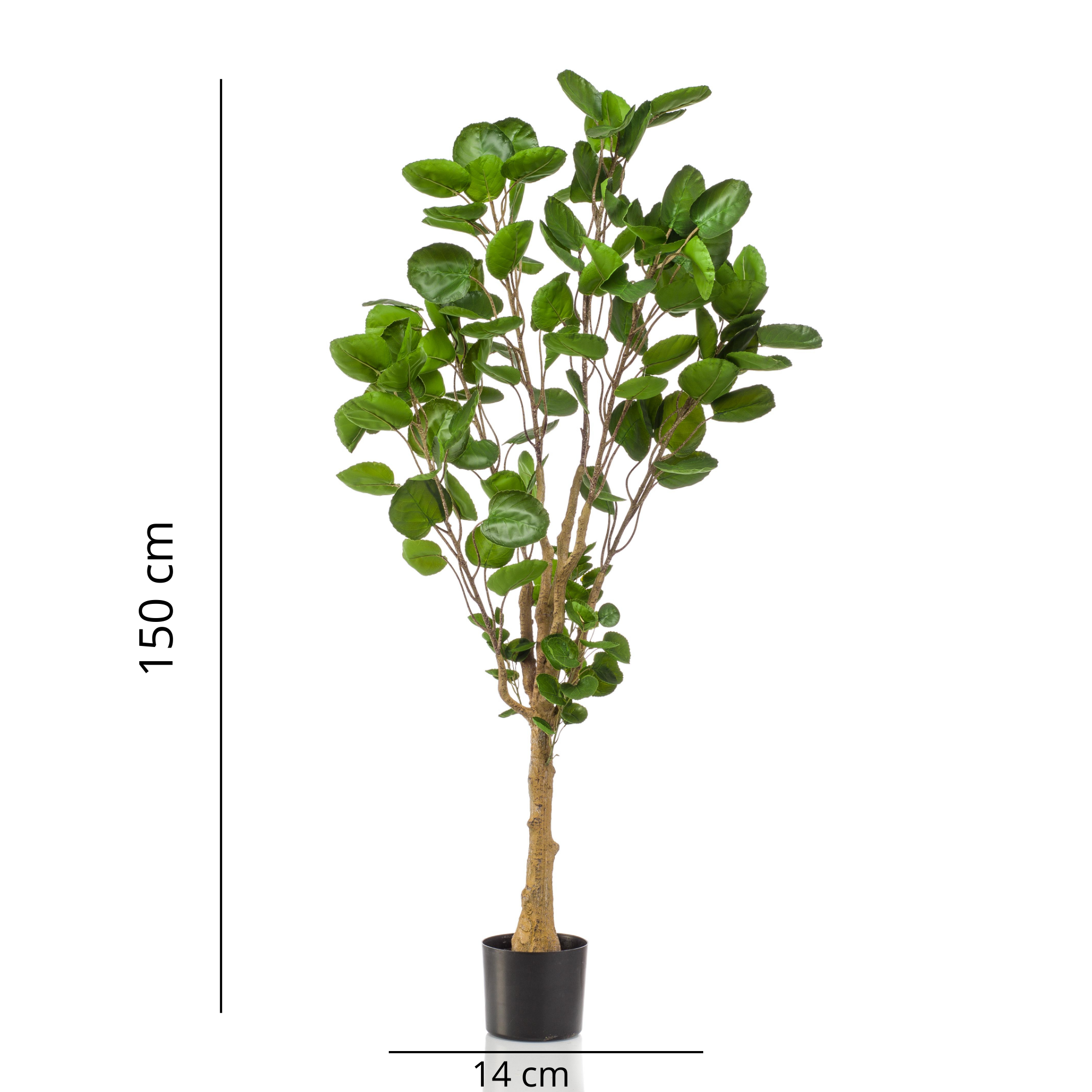 Polyscias (Aralia) artificielle haut de gamme – Plante décorative ultra-réaliste de 105 cm à 160 cm