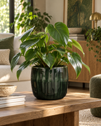 Babet Pine Green – Decorative plant pot – Ø27 × H23 cm
