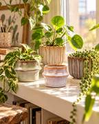 Barcelone – Lot de 6 mini cache-pots en céramique – env. Ø8 × H6,4 cm