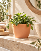 Matte Tuscan Sphere – Mini ceramic plant pot – Ø7.5 × H6 cm
