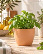 Matte Tuscan Sphere – Mini ceramic plant pot – Ø7.5 × H6 cm