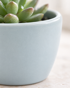Mat Urban Green Sphere – Mini ceramic planter – Ø7.5 × H6 cm