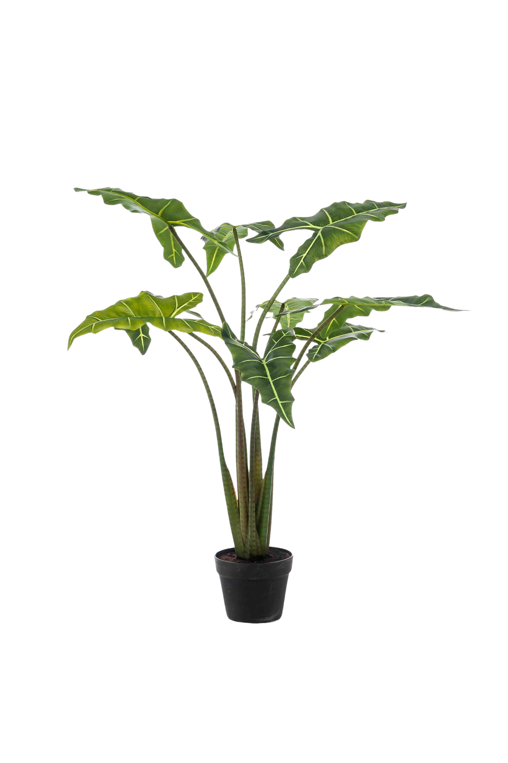 Alocasia Frydek artificielle — Olifantsoor — Plante d’intérieur design — 80 cm & 120 cm