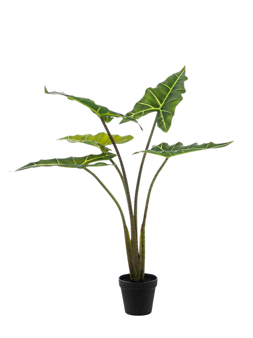 Alocasia Frydek artificielle — Olifantsoor — Plante d’intérieur design — 80 cm & 120 cm