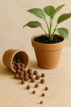 Billes d’argile naturelles – Drainage et stabilisation (5 L ou 10 L)