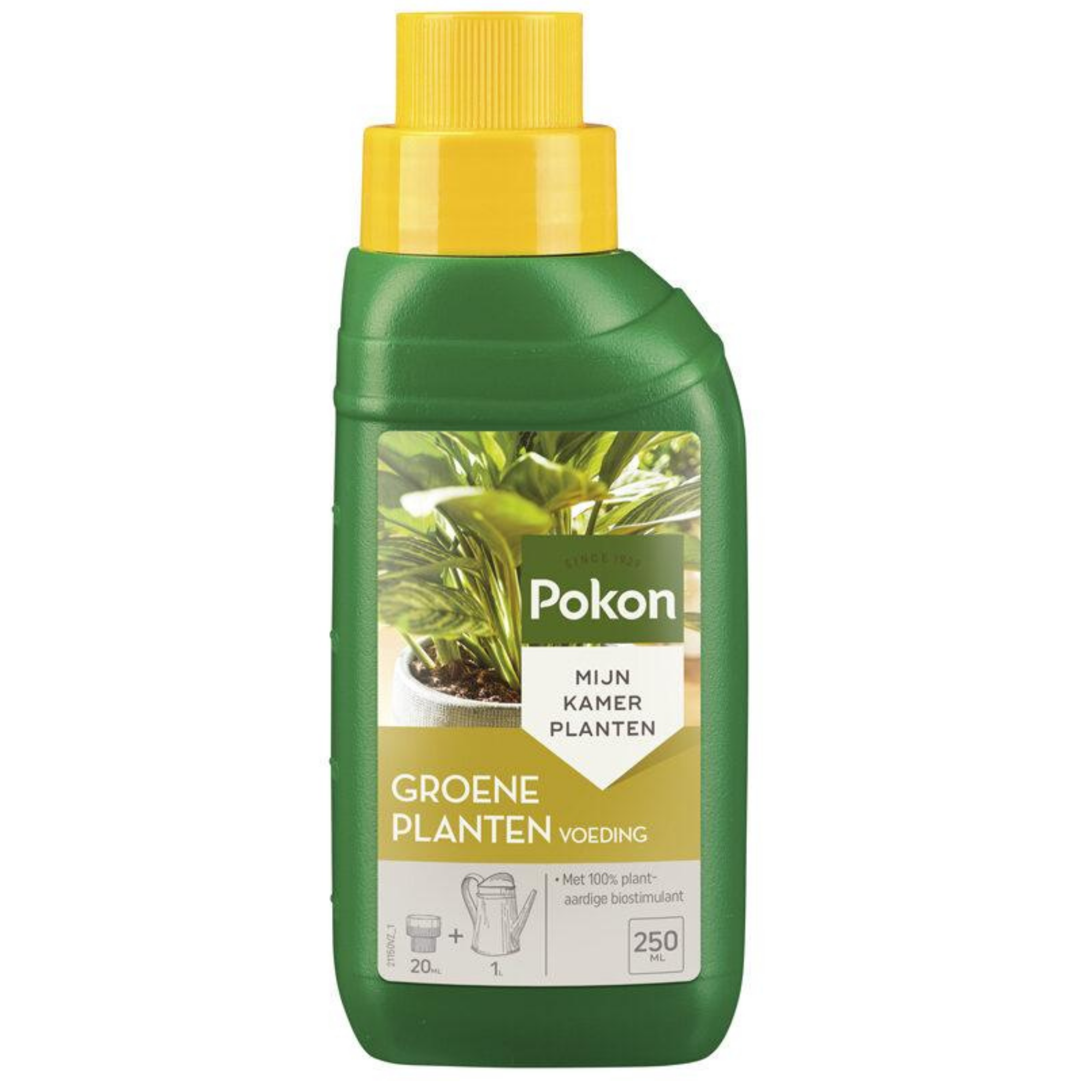 Engrais Plantes Vertes Tropicales – 250ML | Feuillage dense & couleur intense