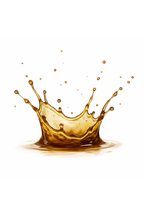 Engrais liquide Pokon 500 ml – Plantes d’intérieur vertes et fleuries