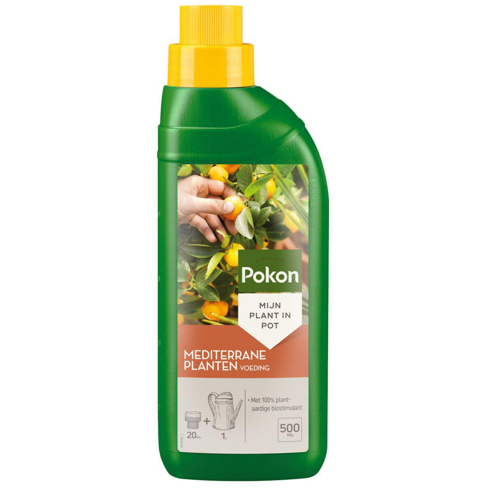 Pokon Mediterraner Pflanzendünger – Natürlicher Boost für Oliven- und Zitrusbäume 500 ml