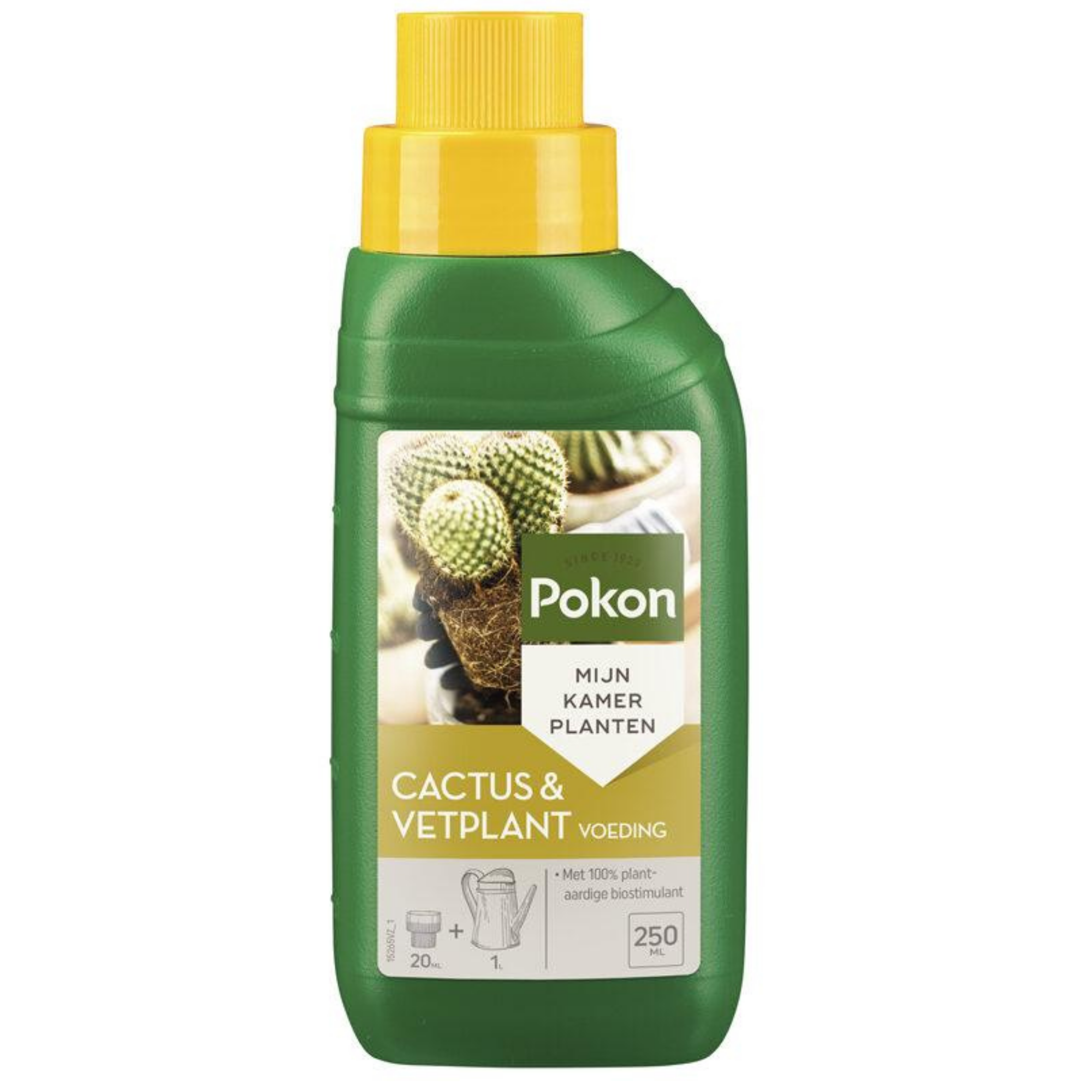 Engrais Cactus Plant Voeding 250ML – Nutrition ciblée pour cactus & succulentes