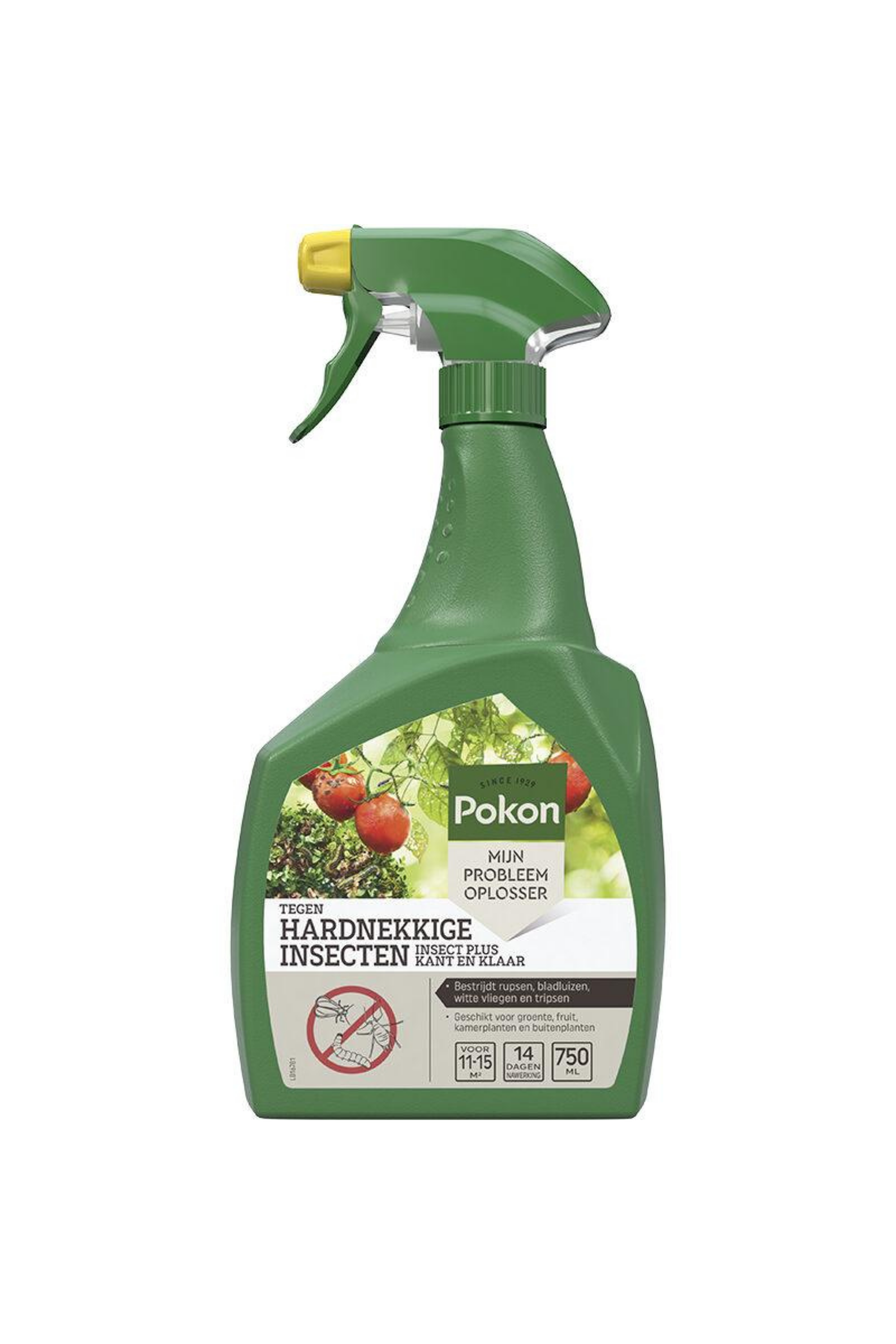 Pokon Spray Anti-Insectes Tenaces 750 ml – Protection immédiate & ciblée
