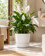 Elho Greenville Rond Blanc – Pot avec réservoir d’eau – Ø14 à Ø39 cm