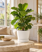 Elho Greenville Rond Blanc – Pot avec réservoir d’eau – Ø14 à Ø39 cm