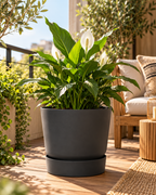 Elho Greenville Rond Noir – Pot avec réservoir d’eau – Ø14 × H13 cm