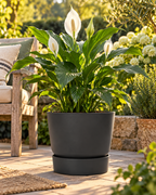 Elho Greenville Rond Noir – Pot avec réservoir d’eau – Ø14 × H13 cm