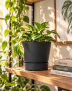 Elho Greenville Rond Noir – Pot avec réservoir d’eau – Ø14 × H13 cm