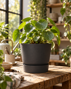 Elho Greenville Rond Noir – Pot avec réservoir d’eau – Ø14 × H13 cm
