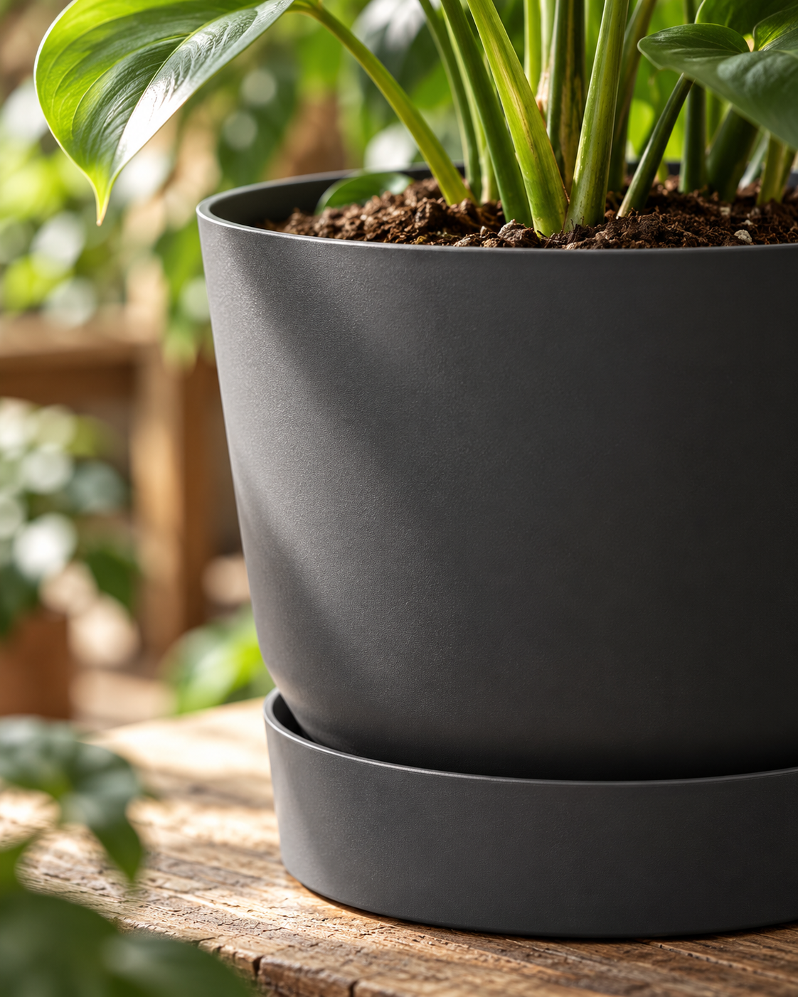 Elho Greenville Rond Noir – Pot avec réservoir d’eau – Ø14 × H13 cm