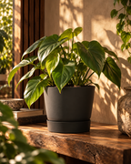 Elho Greenville Rond Noir – Pot avec réservoir d’eau – Ø14 × H13 cm