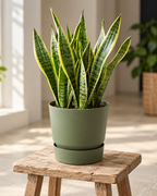 Elho Greenville Rond Vert Feuille – Pot avec réservoir d’eau – Ø14 / Ø20 cm