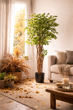 Ficus Liana artificiel 170 cm – Plante artificielle Ficus décorative réaliste