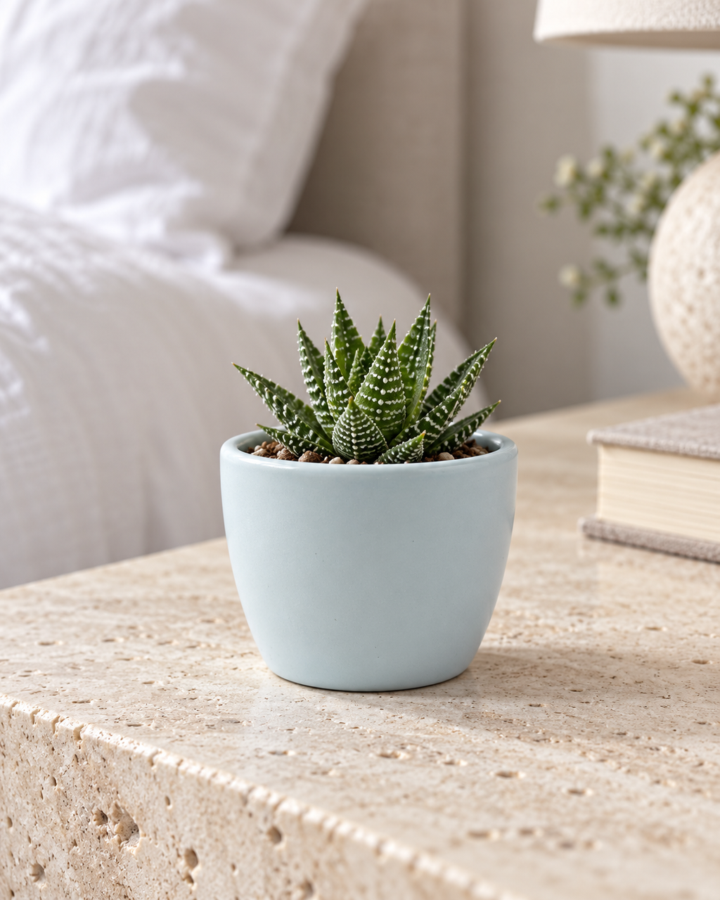 Mat Urban Green Sphere – Mini ceramic planter – Ø7.5 × H6 cm
