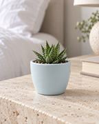 Mat Urban Green Sphere – Mini ceramic planter – Ø7.5 × H6 cm