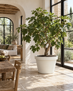 Lira Blanc – Pot XXL minimaliste – Ø65 × H58 cm