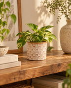 Madrid – Lot de 6 mini cache-pots en céramique – Ø7,2 × H6,3 cm