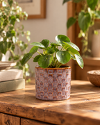 Madrid – Lot de 6 mini cache-pots en céramique – Ø7,2 × H6,3 cm
