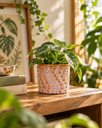 Madrid – Lot de 6 mini cache-pots en céramique – Ø7,2 × H6,3 cm