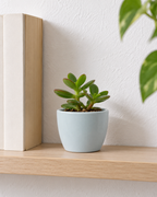 Mat Urban Green Sphere – Mini ceramic planter – Ø7.5 × H6 cm