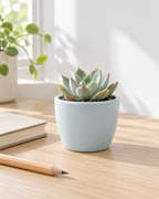 Mat Urban Green Sphere – Mini ceramic planter – Ø7.5 × H6 cm