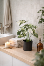 Artificial Monstera Variegata 40cm in a pot – Green &amp; white decorative plant with no maintenance