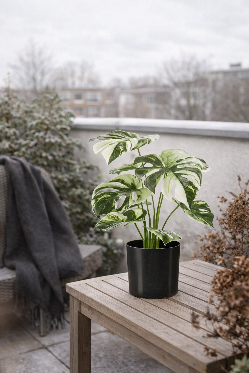 Artificial Monstera Variegata 40cm in a pot – Green &amp; white decorative plant with no maintenance