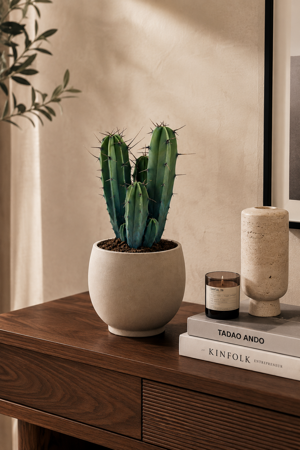 Myrtillocactus Geometrizans – Blue-Green Columnar Cactus – 17 cm – Without Pot