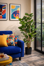 Polyscias (Aralia) artificielle haut de gamme – Plante décorative ultra-réaliste de 105 cm à 160 cm