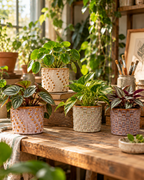 Madrid – Lot de 6 mini cache-pots en céramique – Ø7,2 × H6,3 cm