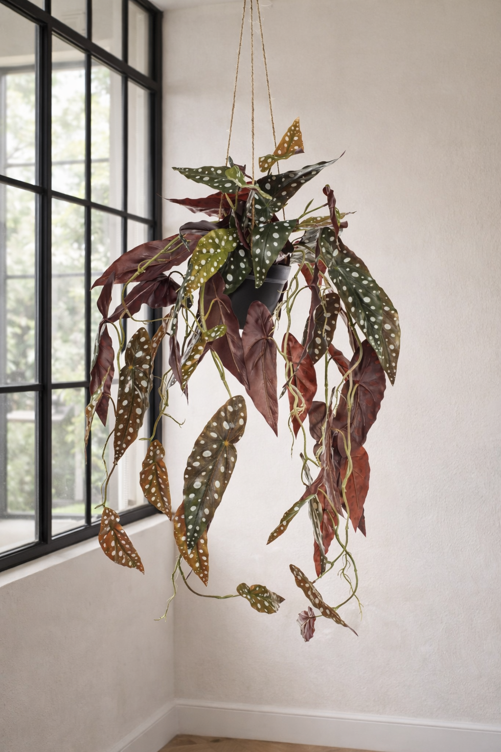 Begonia Maculata artificielle 80 cm – Plante décorative à pois ultra-réaliste