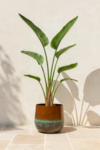 Elisa Mystic Bronze – Cache-pot en céramique texturée, finition bronze artistique