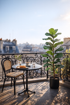 Ficus Lyrata Artificiel – Plante décorative premium – 90 à 180 cm