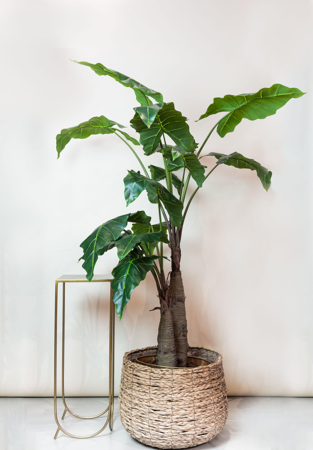 Alocasia artificielle — Olifantsoor — Plante d’intérieur design — 70 cm, 150 cm & 180 cm