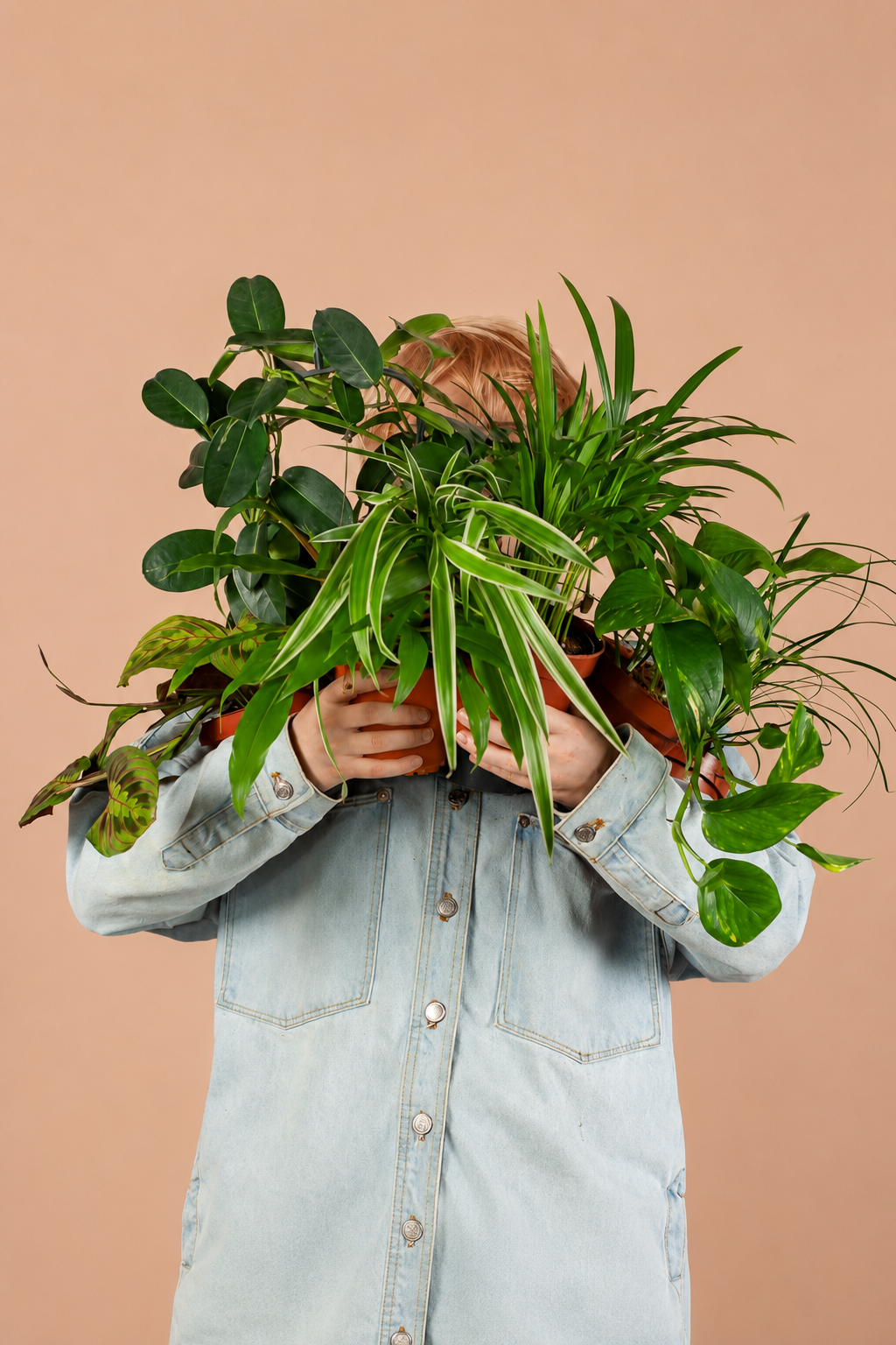 Box de Plantes Surprise à Adopter – 12 Plantes d’Intérieur