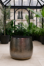 Jenna Lead Anthracite Hammered Cachepot – Contemporary Ceramic Planter