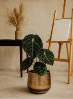 Jenna Gold – Cache-pot doré en céramique premium | Ø29, Ø39, Ø46