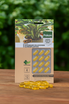 Capsules BIO nutritives pour plantes d’intérieur – Engrais horticole naturel